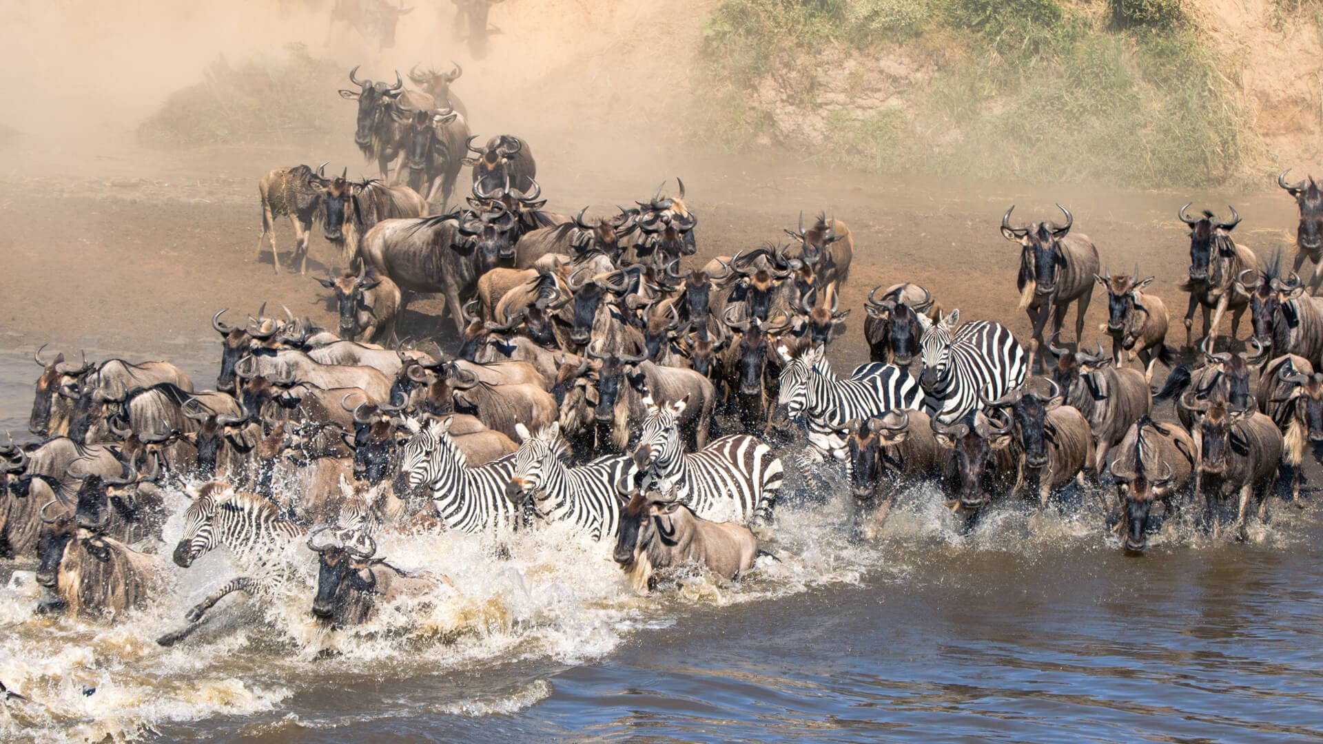 Great Migration season on the plains